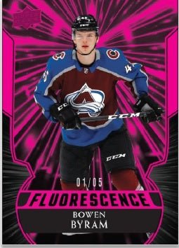 2020 - 21 Upper Deck Series 2 Hockey Hobby Box - GamesLand Canada