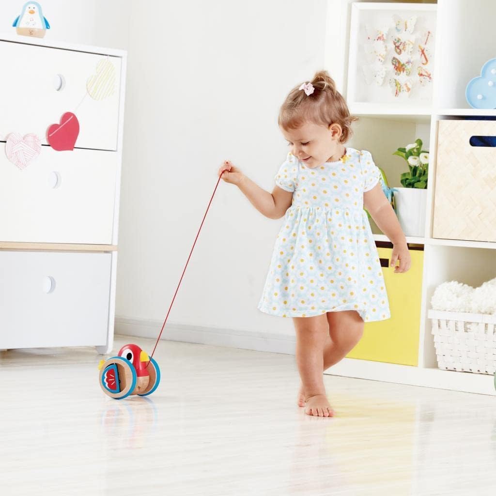 Baby Bird Pull Along - GamesLand Canada