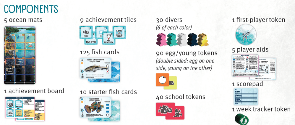 FINSPAN - GamesLand Canada