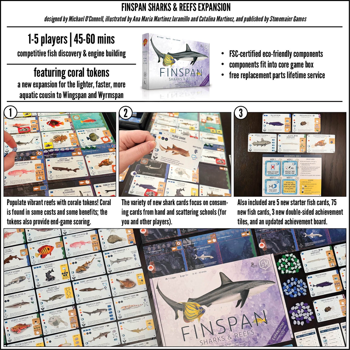 FINSPAN SHARKS AND REEFS - GamesLand Canada