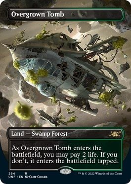 Overgrown Tomb (Borderless) (284) (UNF) - GamesLand Canada