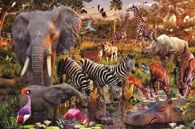 Ravensburger: Jigsaw Puzzle African Animal World - 3000 Pieces Puzzle - GamesLand Canada