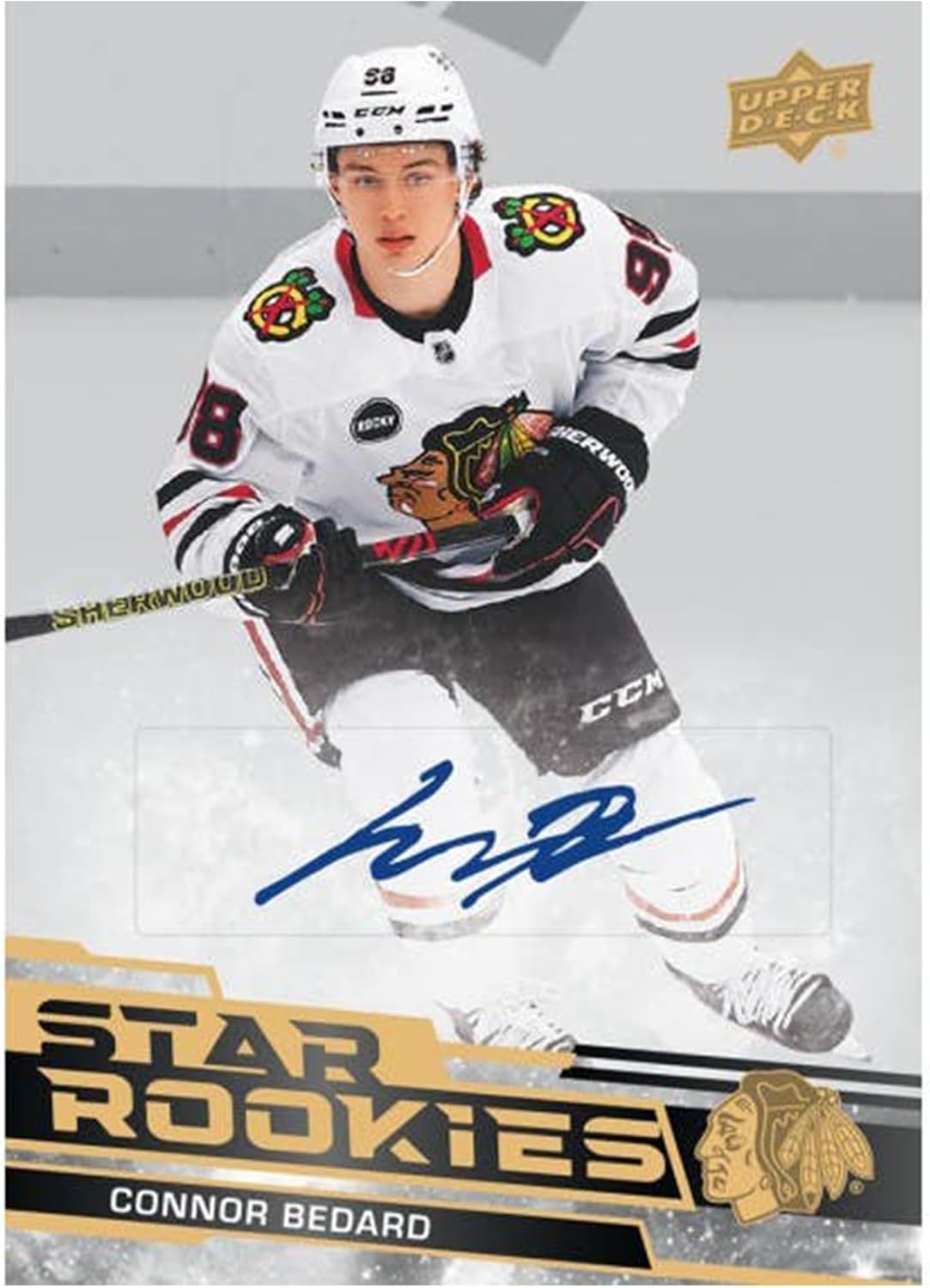 Upper Deck 2023 - 24 NHL Star Rookies Box Set of Hockey Cards (Complete 25 - Card Base Set + 1 Base Set Parallel) - GamesLand