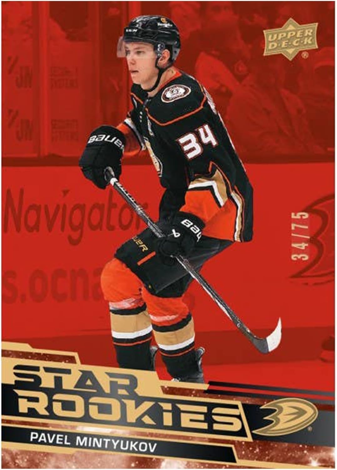 Upper Deck 2023 - 24 NHL Star Rookies Box Set of Hockey Cards (Complete 25 - Card Base Set + 1 Base Set Parallel) - GamesLand