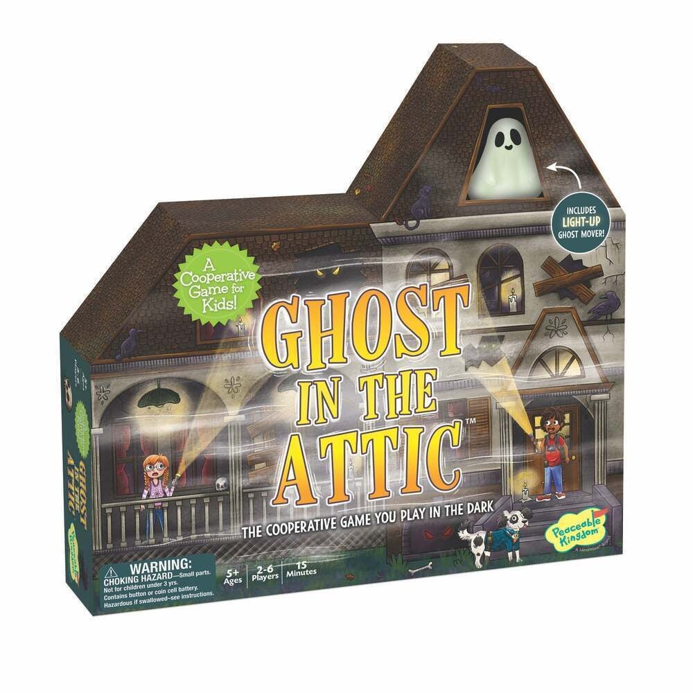 GHOSTS IN THE ATTIC