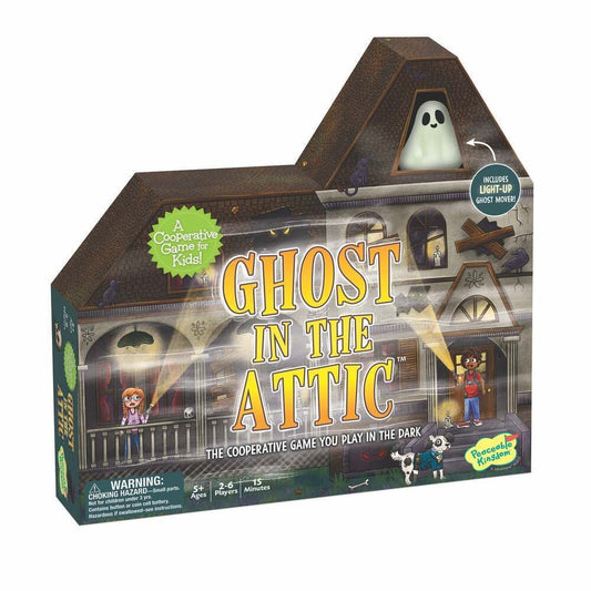 GHOSTS IN THE ATTIC