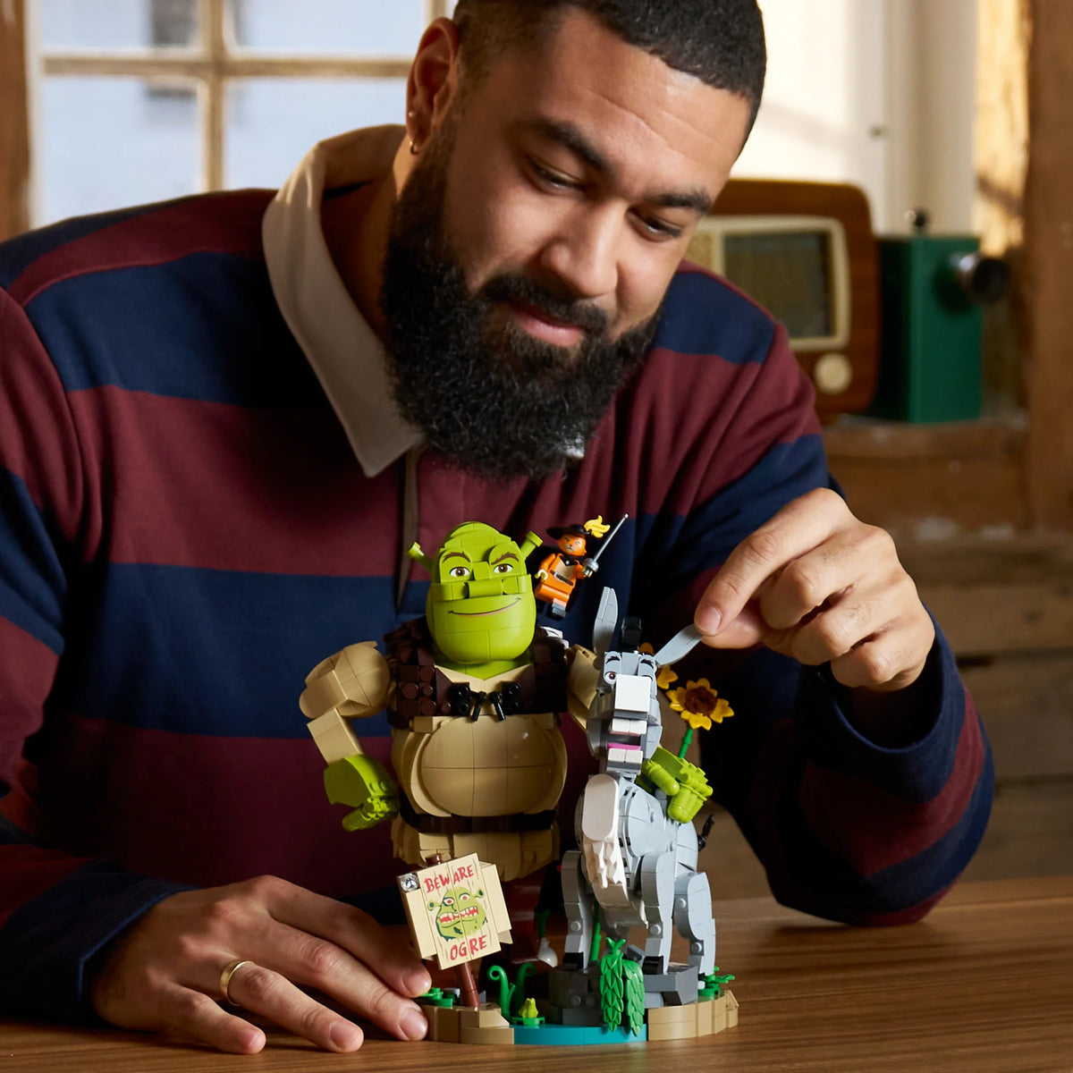 LEGO® Shrek, Donkey & Puss in Boots - 72423