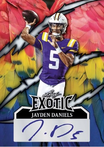 LEAF ECLECTIC FOOTBALL 2024 - GamesLand Canada