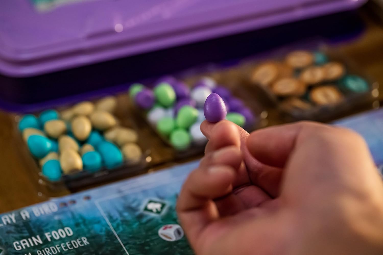 WINGSPAN EUROPEAN EXPANSION - GamesLand Canada