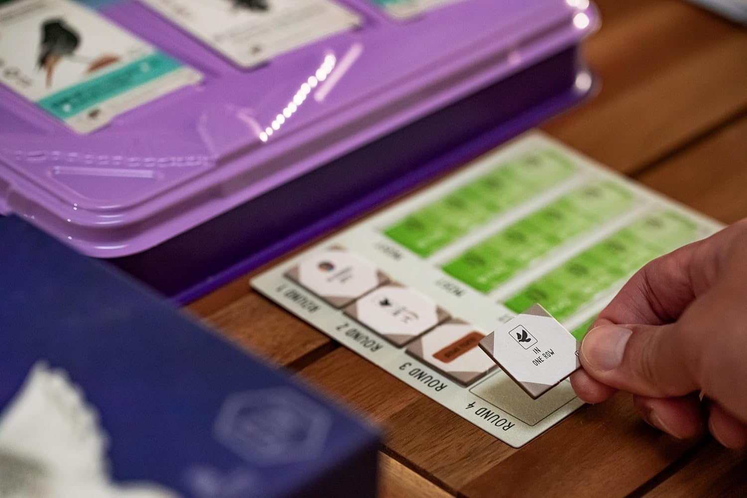 WINGSPAN EUROPEAN EXPANSION - GamesLand Canada