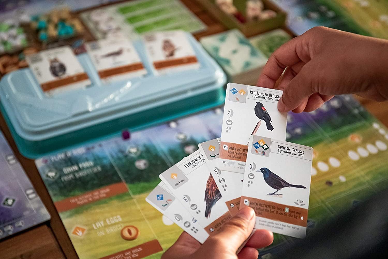 WINGSPAN WITH SWIFT STARTER PACK - GamesLand Canada