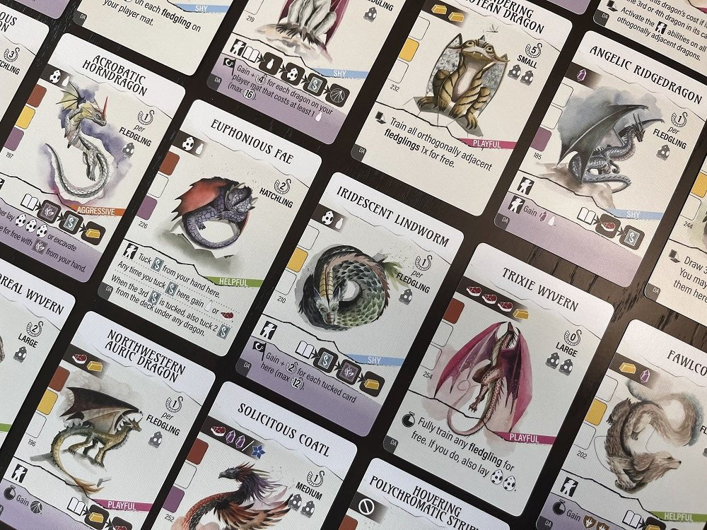 WYRMSPAN DRAGON ACADEMY EXPANSION - GamesLand Canada
