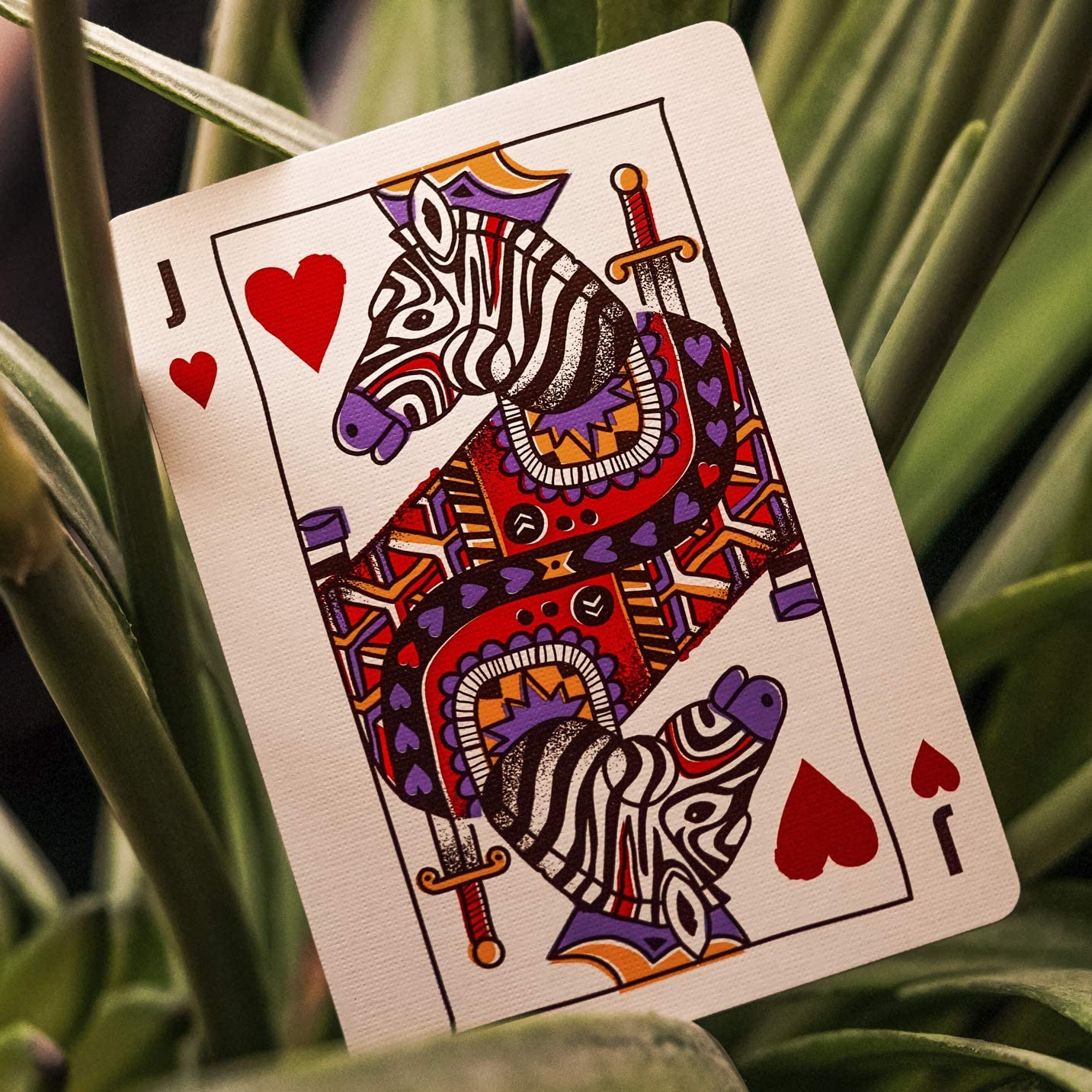 Theory 11 Animal Kingdom Playing Cards