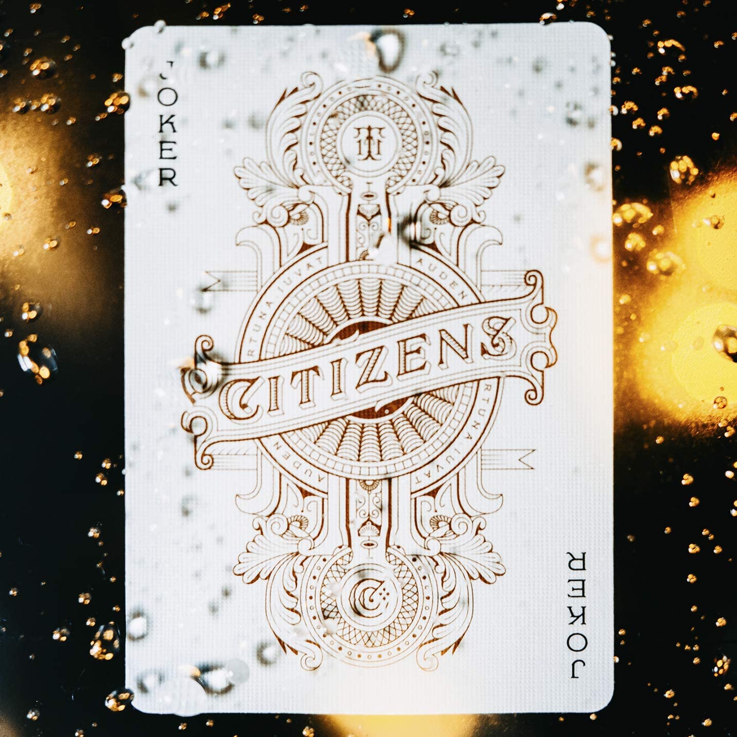 Theory 11 Citizens Playing Cards